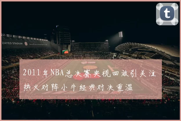 2011年NBA总决赛央视回放引关注 热火对阵小牛经典对决重温