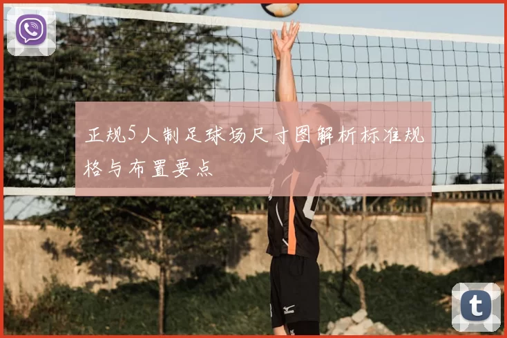 正规5人制足球场尺寸图解析标准规格与布置要点