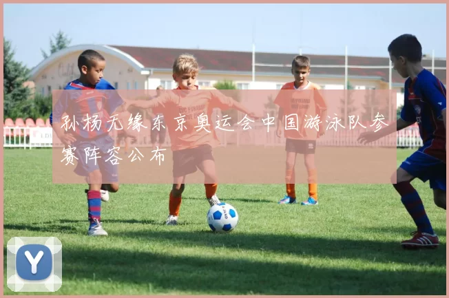 孙杨无缘东京奥运会中国游泳队参赛阵容公布